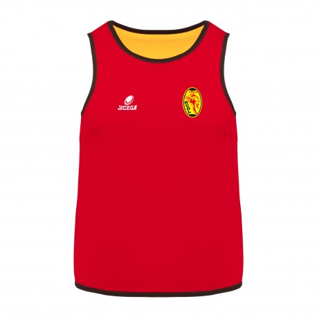CHASUBLE REVERSIBLE Adulte RCD LOUHANS