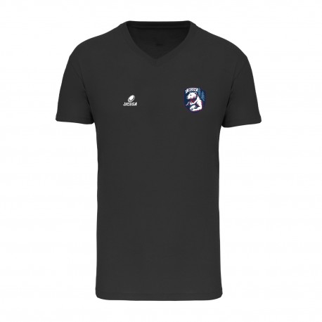 Tee-shirt ALBURY COL V Homme